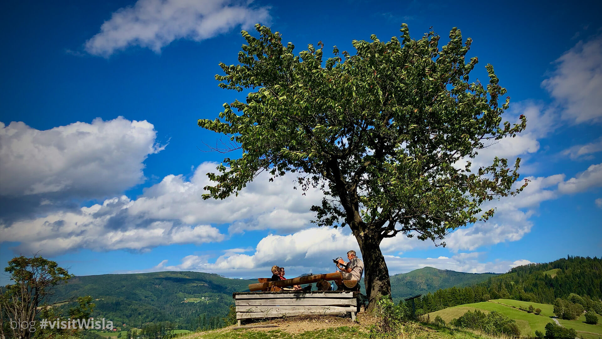 Magiczne drzewo na Cieńkowie - Wisła